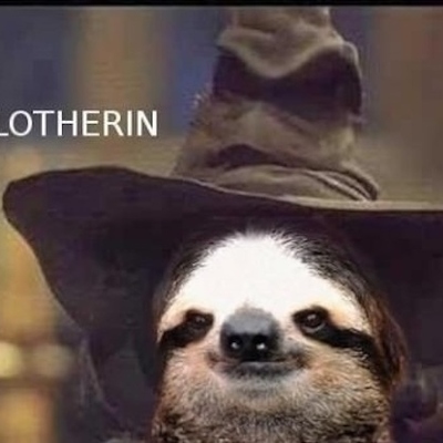 Sloth