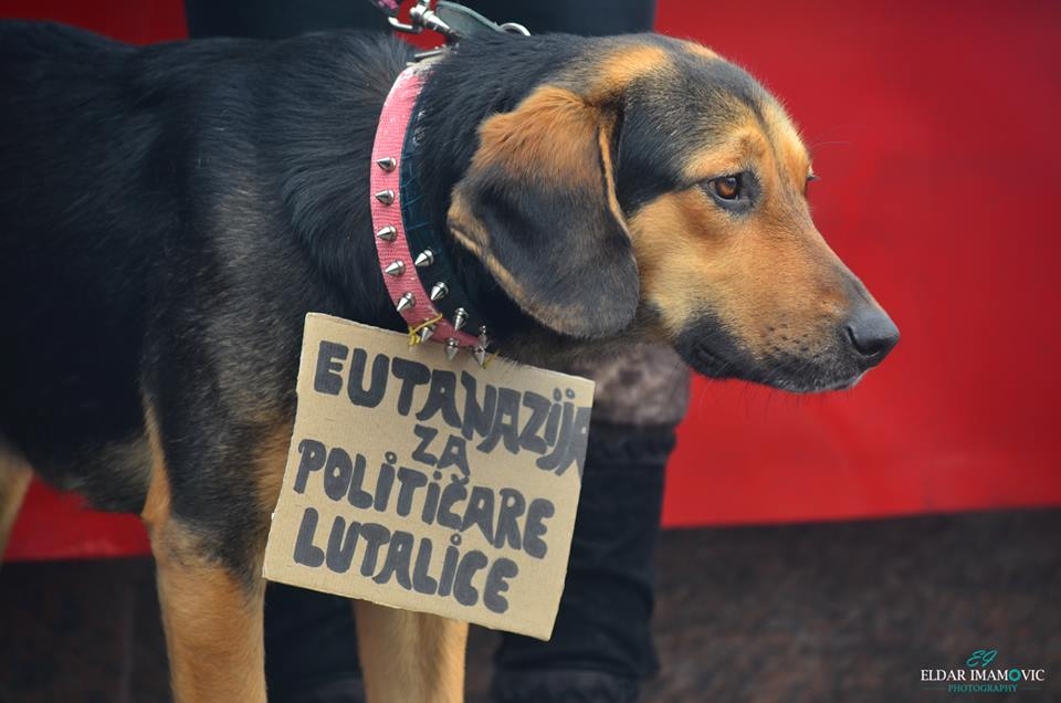 Prosvjed studenata BiH