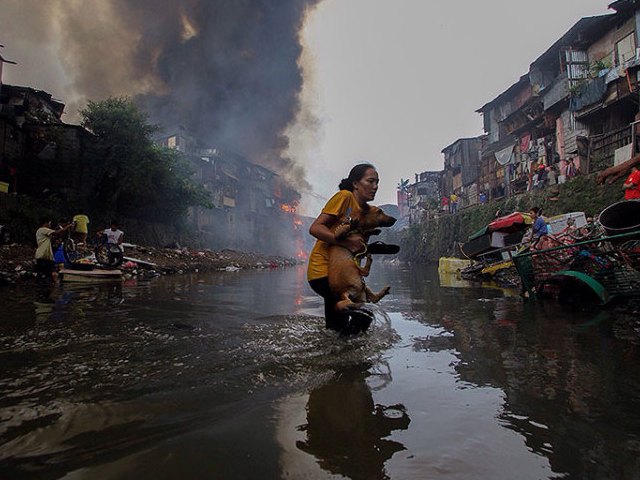 The Photojournalist