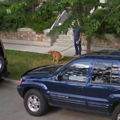 36 urnebesnih prizora s Google Street Viewa - pas