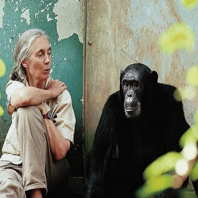 Jane Goodall