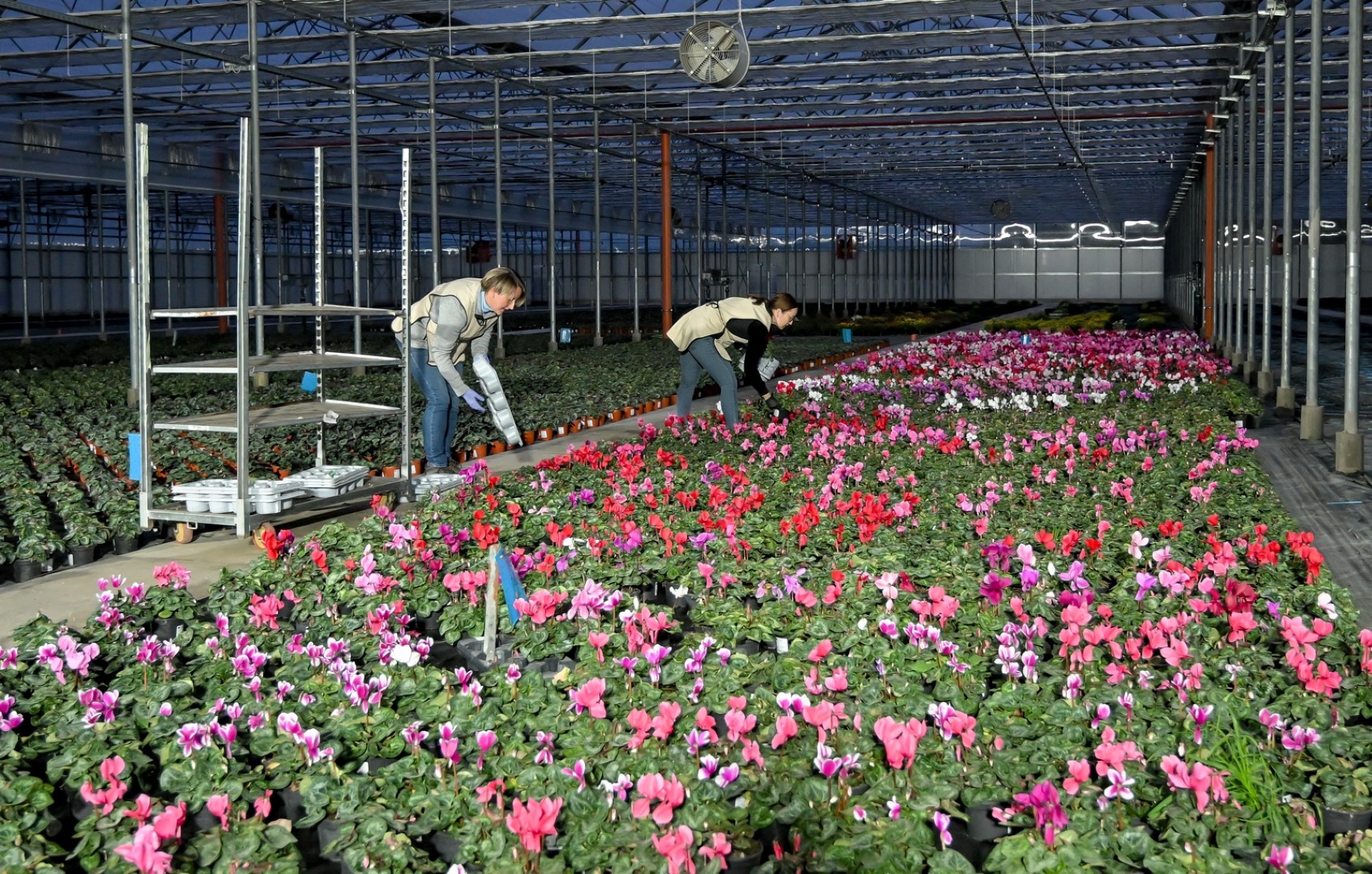 Arboretum Opeka