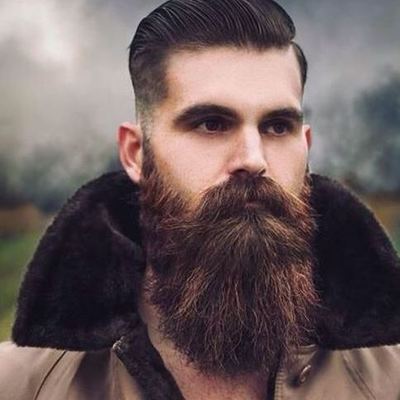 PinterestBeard1