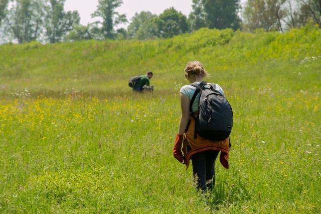 Istraživačko-edukacijski projekt „Mura – Drava 2016.“ – priroda