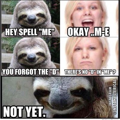 Sloth