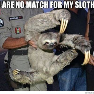 Sloth