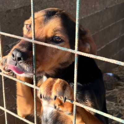 Međimursko veleučilište u Čakovcu