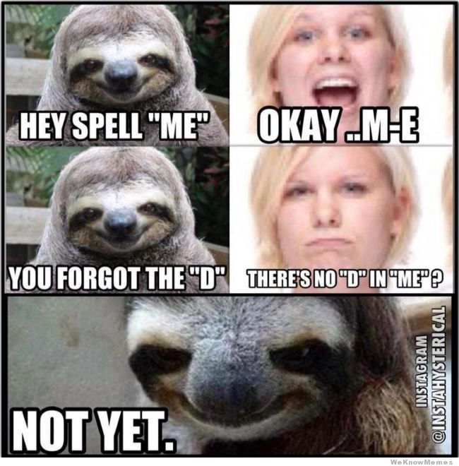 Sloth