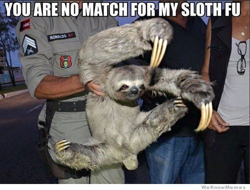 Sloth