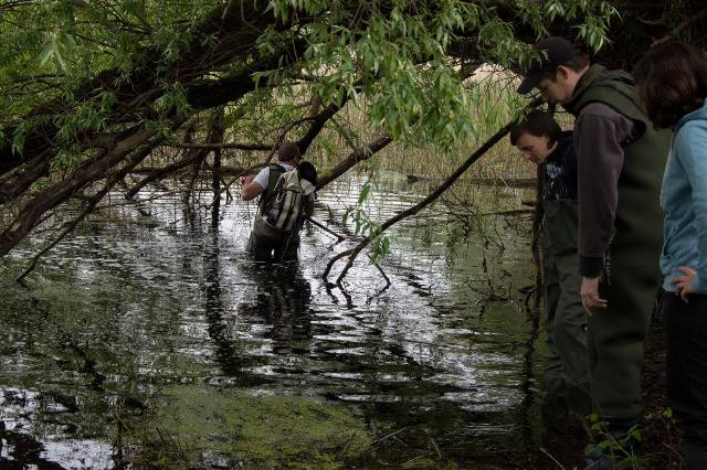 Istraživačko-edukacijski projekt „Mura – Drava 2016.“ – teren