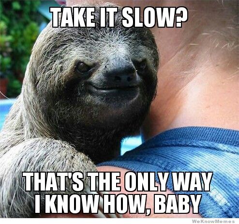 Sloth