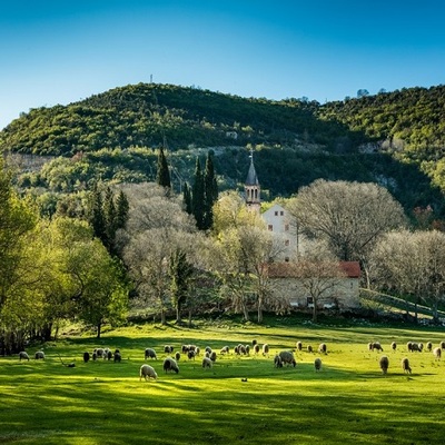 http://www.np-krka.hr/clanci/Lipanj-akcija-NP-Krka/769.html