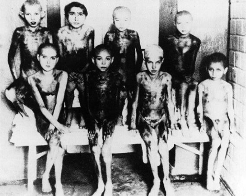 Mengeleovi blizanci, Auschwitz