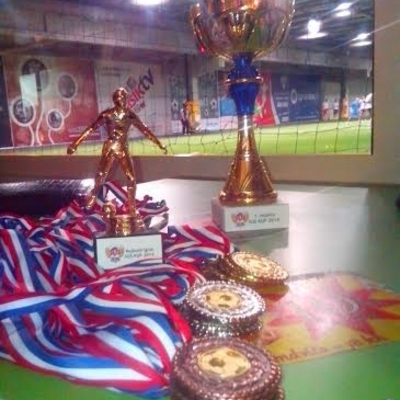 Medalje sus kup 2014