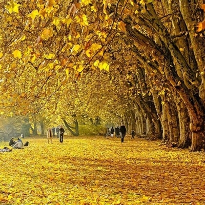 Jesen u parku