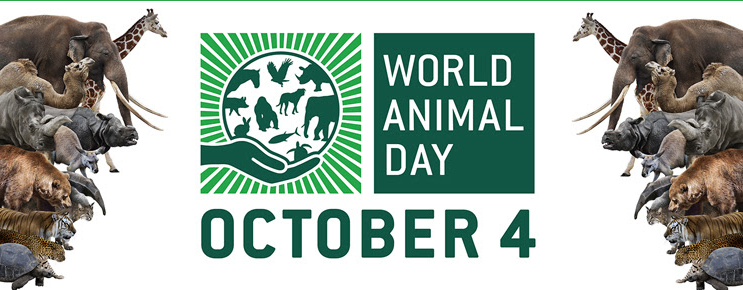 Svjetski dan zaštite životinja, naslovna