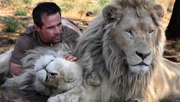 Svjetski dan životinja - Čovjek i lavovi