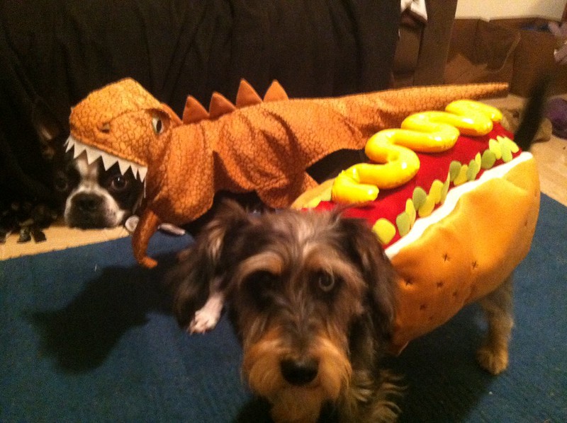 T Rex i Hot Dog