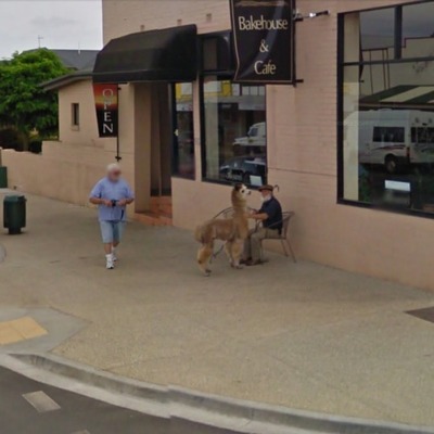 36 urnebesnih prizora s Google Street Viewa - ručak s ljubimcem