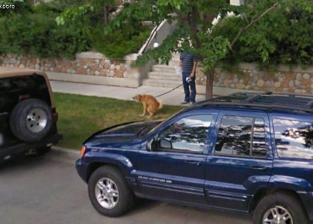 36 urnebesnih prizora s Google Street Viewa - pas