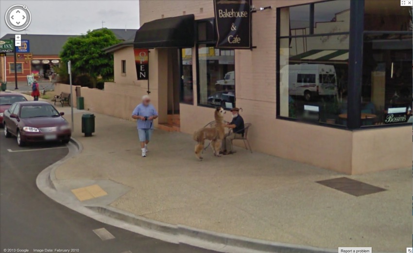 36 urnebesnih prizora s Google Street Viewa - ručak s ljubimcem