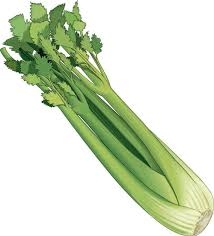 Celer