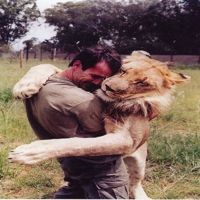 Međunarodni dan zagrljaja - lav i čovjek
