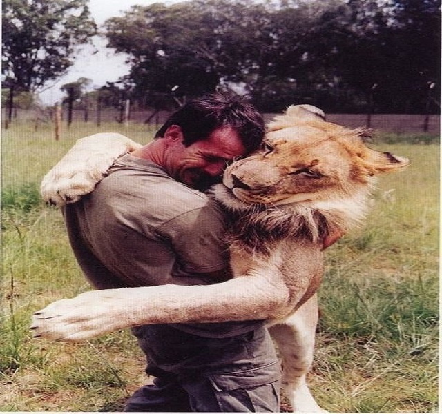 Međunarodni dan zagrljaja - lav i čovjek