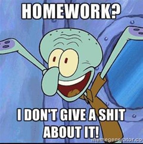 Nije me briga za domaći